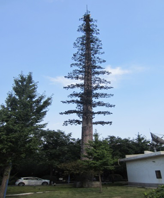 东莞避雷安装防雷仿生塔检测防雷检测